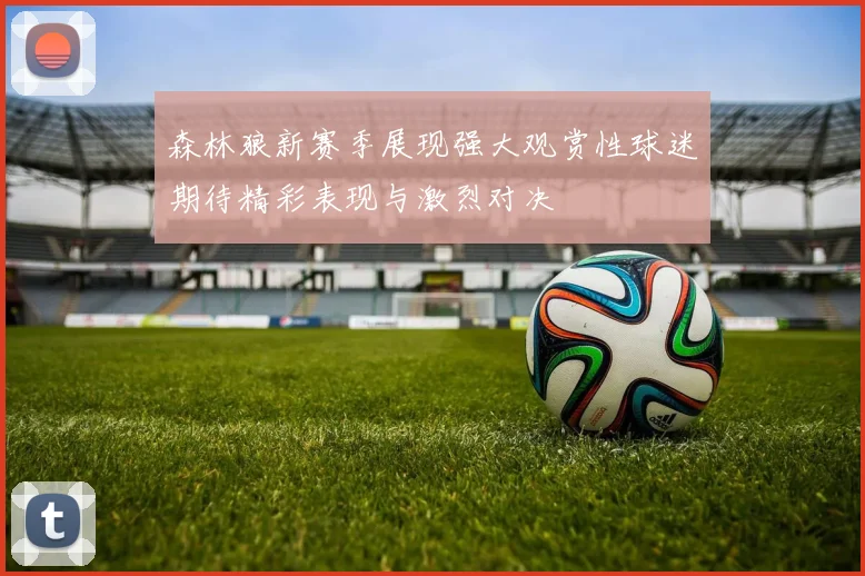 森林狼新赛季展现强大观赏性球迷期待精彩表现与激烈对决